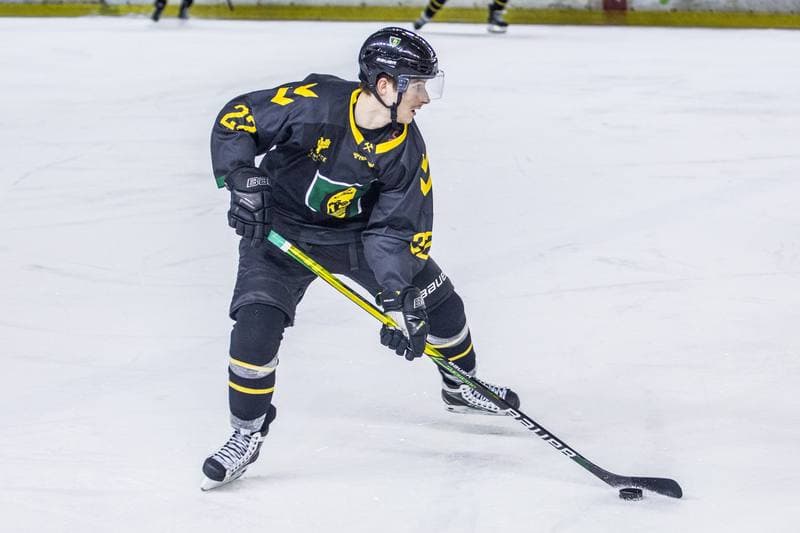 Ice Hockey. Polska Hokej Liga. Zaglebie Sosnowiec - GKS Katowice. 28.02.2022