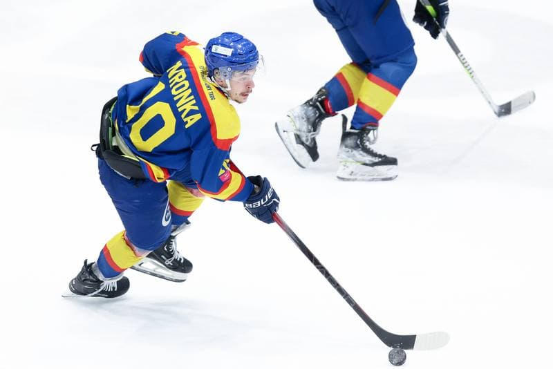 Ice Hockey. Tauron Hokej Liga. Zaglebie Sosnowiec - PZU Podhale Nowy Targ. 14.02.2024