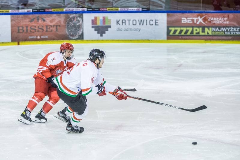 Ice Hockey. International Friendly. Poland - Hungary. 17.12.2020