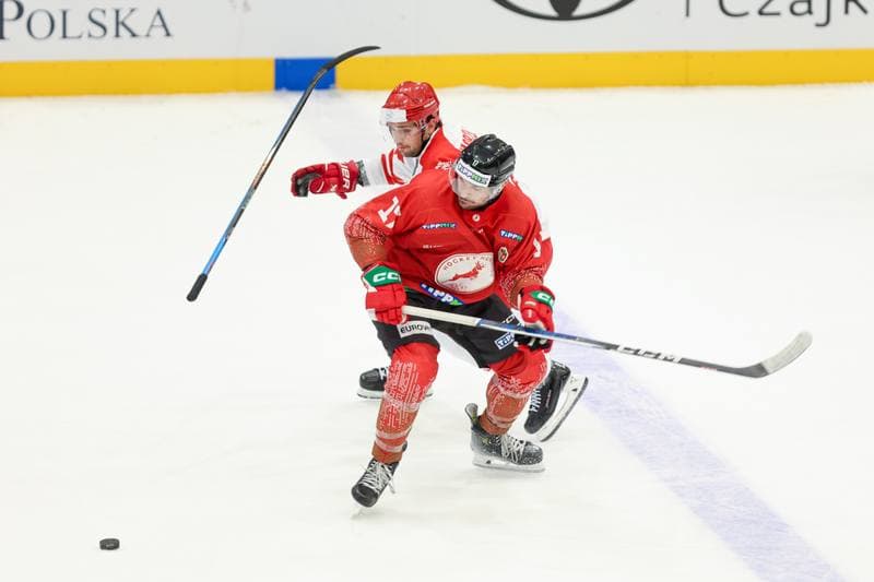 Ice Hockey. Friendly Match. Poland - Hungary. 12.04.2024