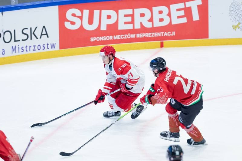 Ice Hockey. Friendly Match. Poland - Hungary. 12.04.2024