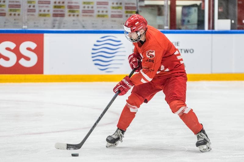Ice Hockey. Poland national team. Training. 29.04.2022