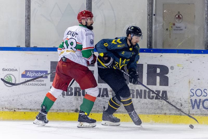 Ice Hockey. PHL. Zaglebie Sosnowiec - GKS Katowice. 08.01.2023