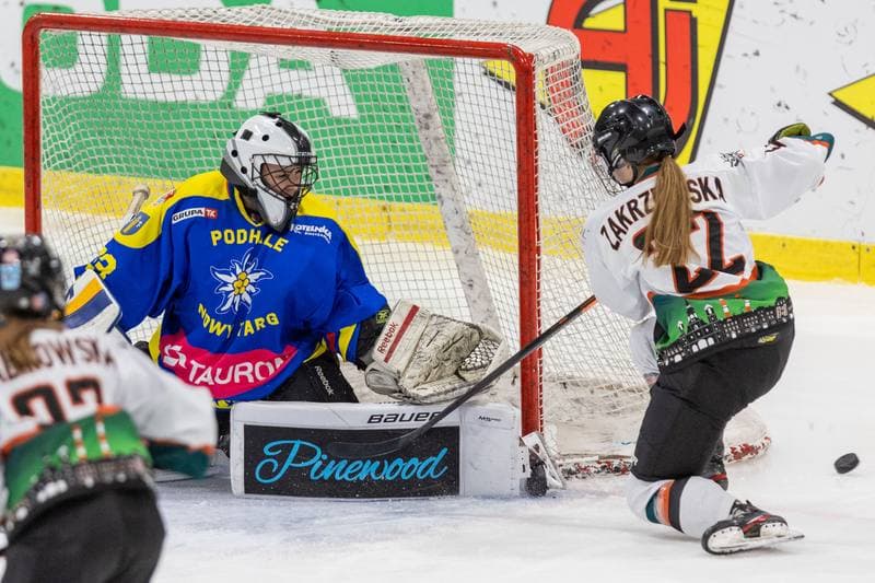 Ice Hockey. PLHK. Kojotki Naprzod Janow - MMKS Podhale Nowy Targ. 12.11.2022