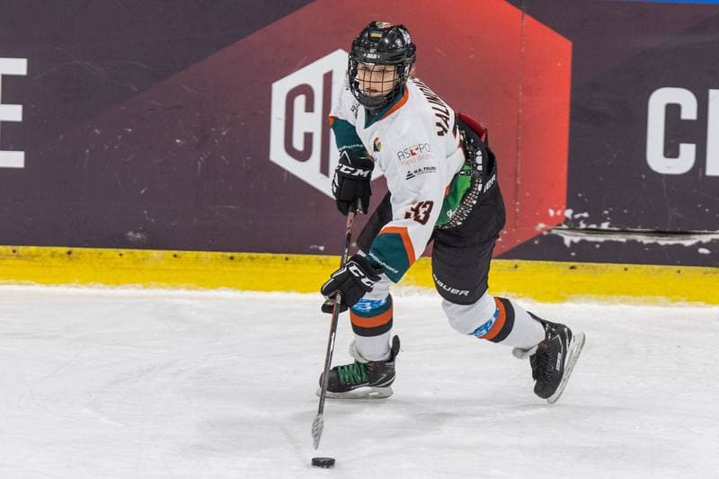 Ice Hockey. PLHK. Kojotki Naprzod Janow - MMKS Podhale Nowy Targ. 12.11.2022
