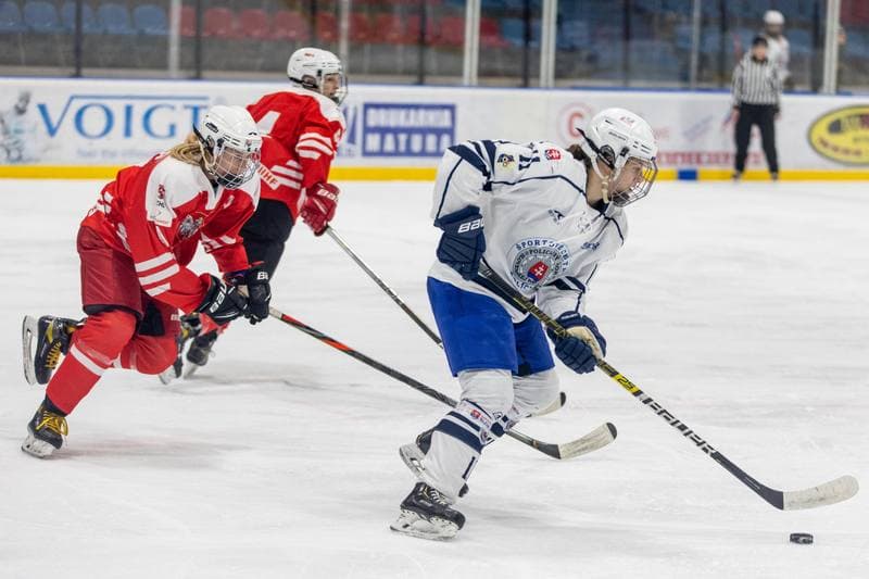 Ice Hockey. EWHL. Orlice Bytom - SKP Bratislava. 19.11.2022