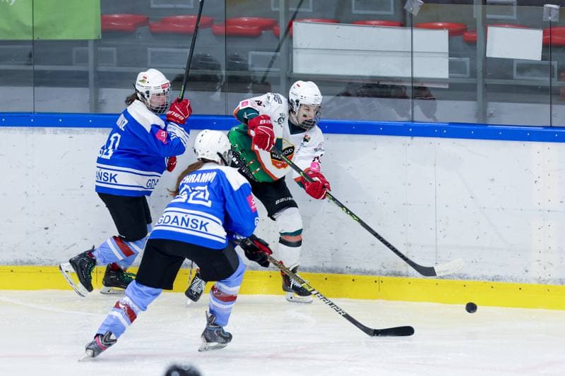 Ice Hockey. Tauron Liga. Kojotki Naprzod Janow - Stoczniowiec Gdansk. 24.02.2024