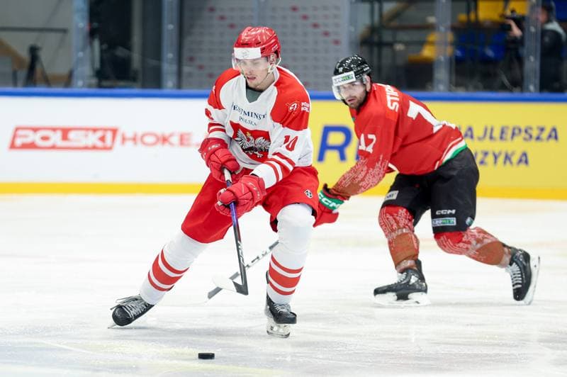Ice Hockey. Friendly Match. Poland - Hungary. 13.04.2024