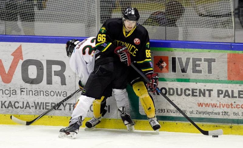 Ice Hockey. Polska Hokej Liga. Naprzod Janow - HC GKS Katowice. 06.01.2015