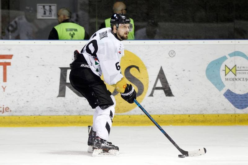 Ice Hockey. PHL. GKS Tychy - Comarch Cracovia. 02.04.2019