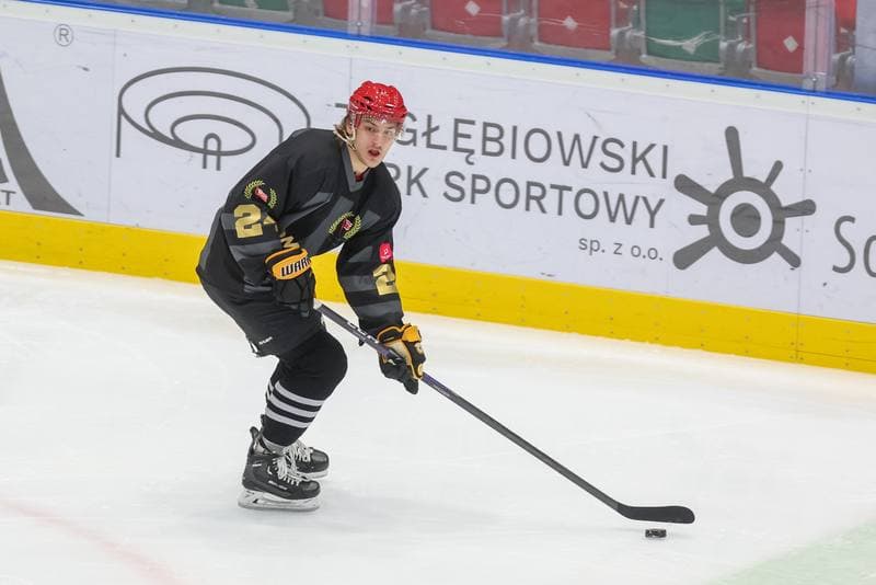 Ice Hockey. Tauron Hokej Liga. Zaglebie Sosnowiec - Comarch Cracovia. 19.11.2023