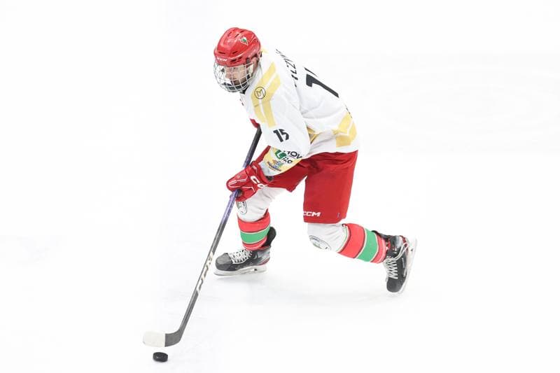 Ice Hockey. Tauron Hokej Liga. Zaglebie Sosnowiec - GKS Katowice. 21.01.2024