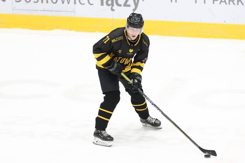 Ice Hockey. Tauron Hokej Liga. Zaglebie Sosnowiec - GKS Katowice. 21.01.2024