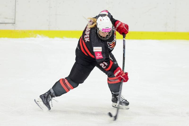 Ice Hockey. EWHL. Tauron Metropolia Silesia - EC Graz Huskies. 02.03.2024