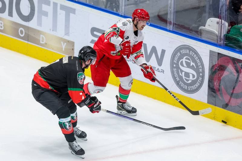 Ice Hockey. Tauron Hokej Liga. Zaglebie Sosnowiec - GKS Tychy. 06.10.2023