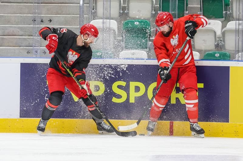 Ice Hockey. Poland national team. Training. 08.11.2023