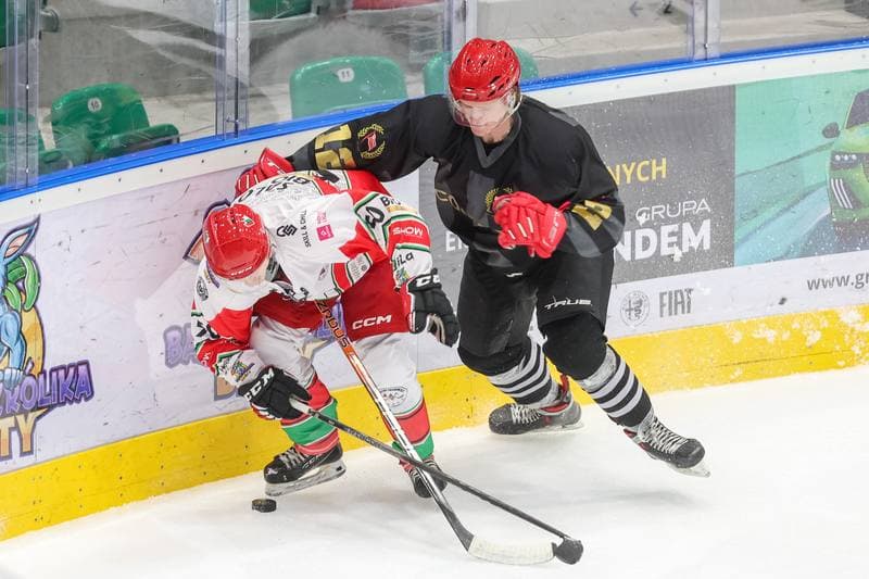 Ice Hockey. Tauron Hokej Liga. Zaglebie Sosnowiec - Comarch Cracovia. 19.11.2023