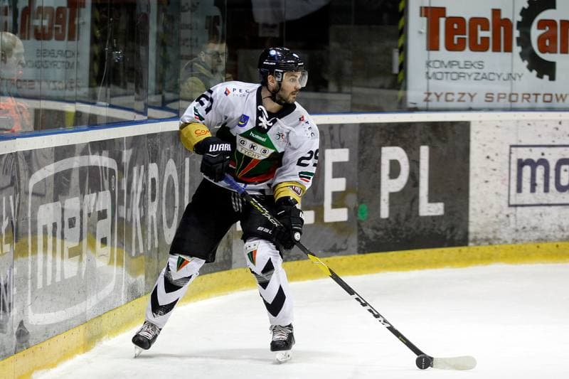 Ice Hockey. Polska Hokej Liga. GKS Tychy - Comarch Cracovia. 11.04.2019