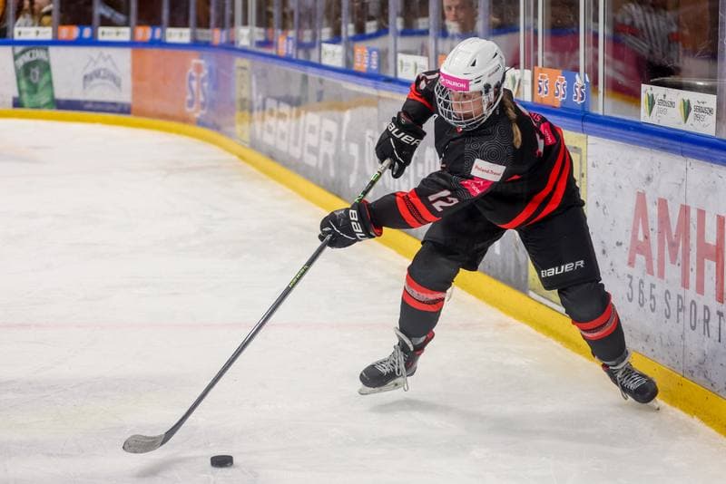 Ice Hockey. EWHL. Tauron Metropolia Silesia - Aisulu Almaty. 26.11.2023