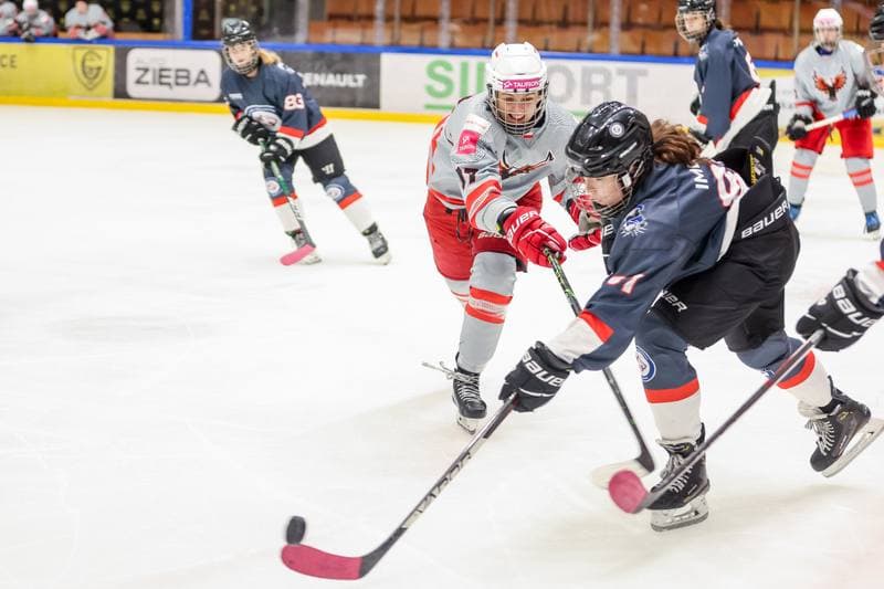 Ice Hockey. EWHL. Tauron Metropolia Silesia - Budapest Jegkorong Akademia. 22.10.2023