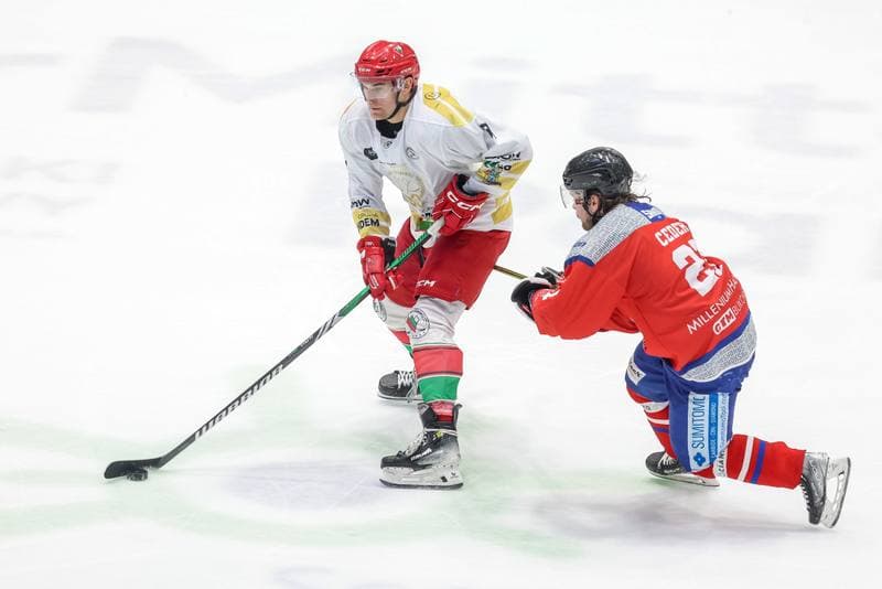 Ice Hockey. Tauron Hokej Liga. Zaglebie Sosnowiec - Marma Ciarko STS Sanok. 26.11.2023