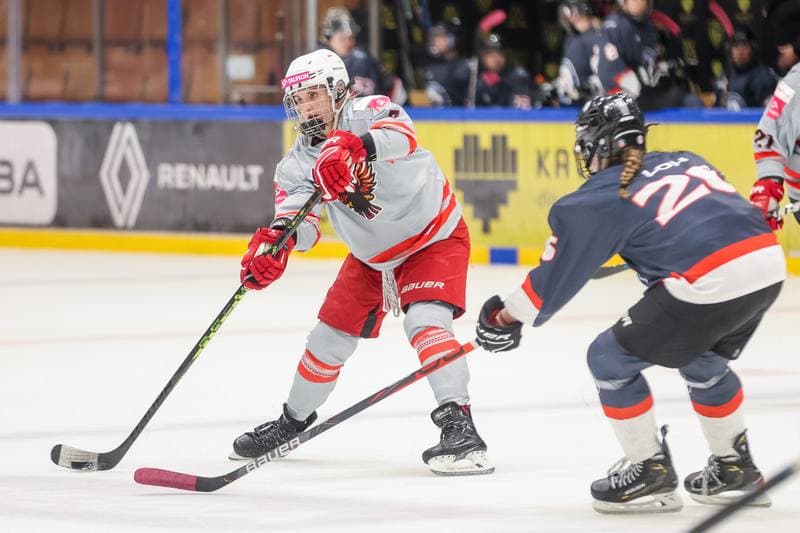 Ice Hockey. EWHL. Tauron Metropolia Silesia - Budapest Jegkorong Akademia. 22.10.2023
