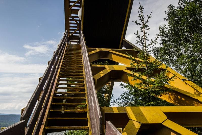 Ski Jumping. Certak. 01.08.2019