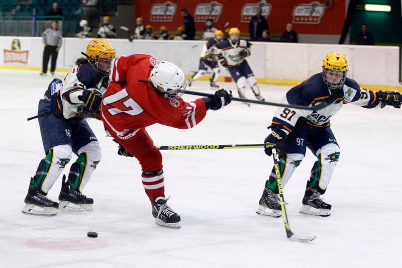Ice Hockey. Women's Friendly Match. Poland - Ontario. 04.04.2017