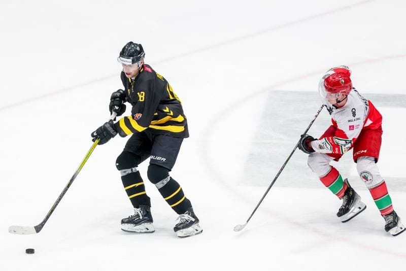 Ice Hockey. Tauron Hokej Liga. Zaglebie Sosnowiec - GKS Katowice. 03.11.2023