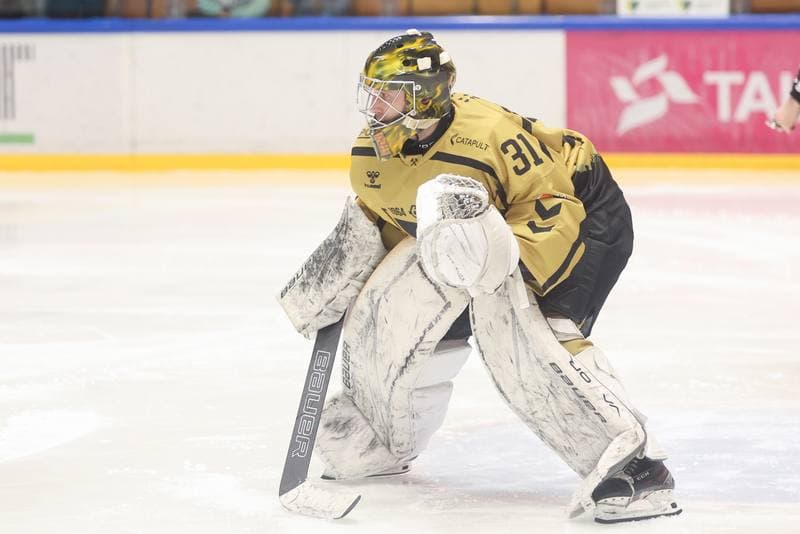 Ice Hockey. Tauron Hokej Liga. GKS Katowice - KH Energa Torun. 19.01.2024