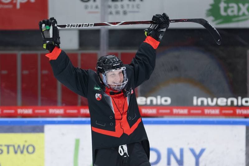 Ice Hockey. Charity Match. Hokejowa Kadra Artystow Polskich - Przyjaciele WOSP. 20.01.2024