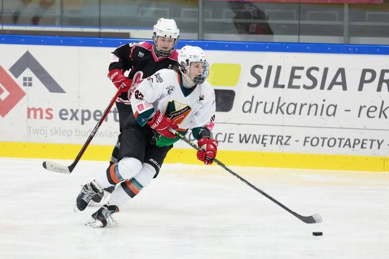 Ice Hockey. Tauron Liga Hokeja Kobiet. Kojotki Naprzod Janow - Kozice Poznan. 20.01.2024