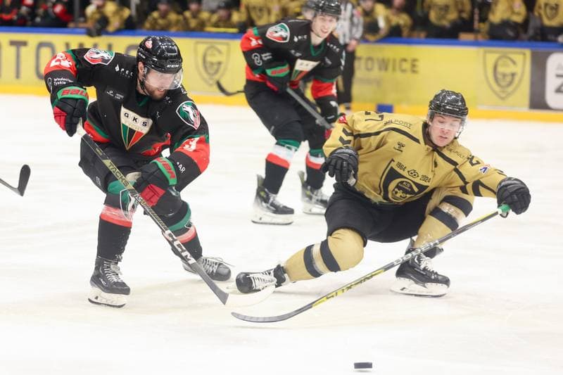 Ice Hockey. Tauron Hokej Liga. GKS Katowice - GKS Tychy. 28.01.2024