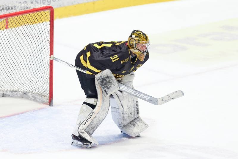 Ice Hockey. Tauron Hokej Liga. Re-Plast Unia Oswiecim - GKS Katowice. 01.02.2024