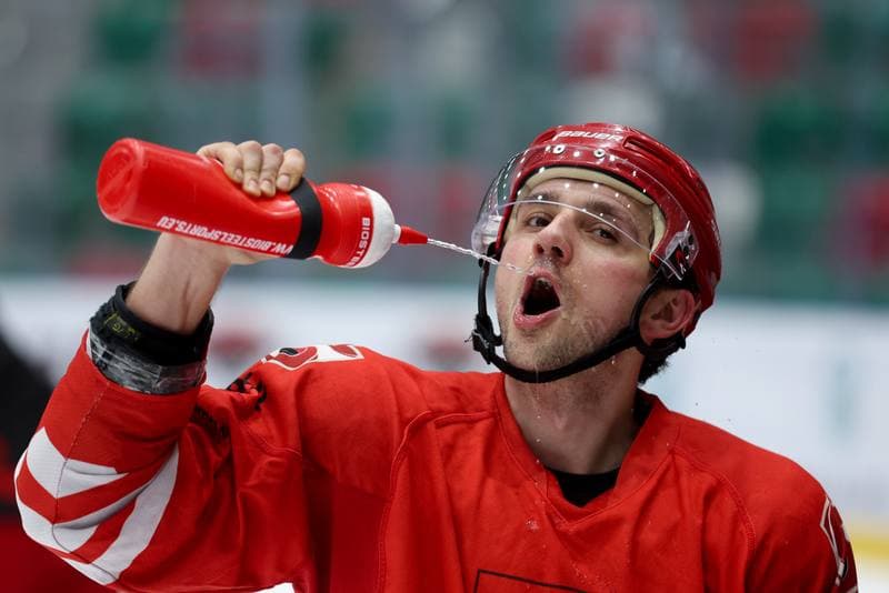 Ice Hockey. Poland national team. Training. 04.02.2024