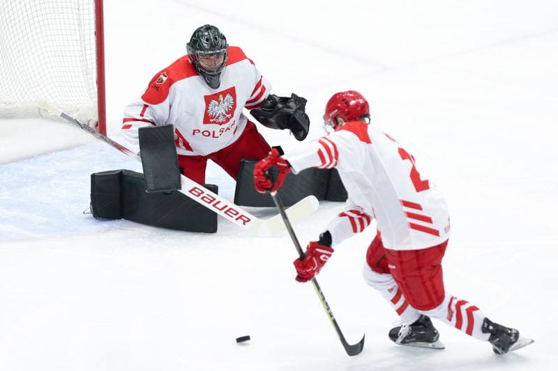 Ice Hockey. Friendly Match. Poland - South Korea. 05.02.2024