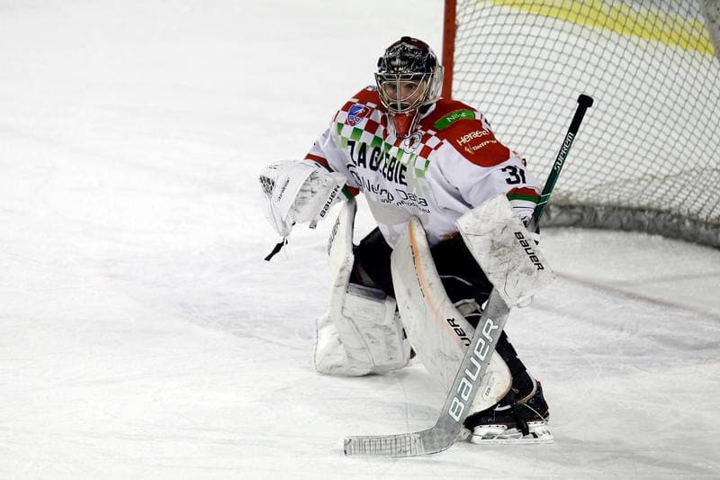 Ice Hockey. Polska Hokej Liga. Zaglebie Sosnowiec - Unia Oswiecim. 01.02.2019
