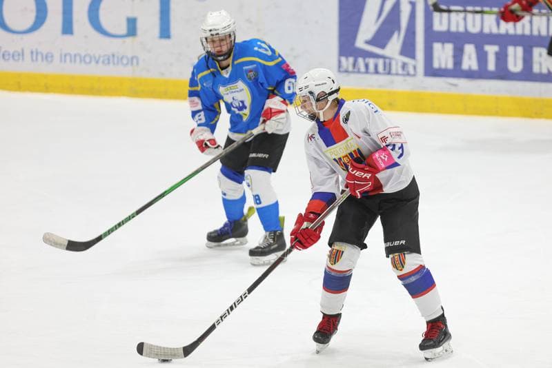 Ice Hockey. Tauron Liga Kobiet. Polonia Bytom - UKKH Unia Oswiecim. 24.02.2024