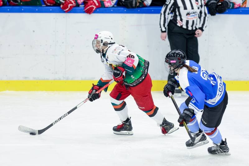 Ice Hockey. Tauron Liga. Kojotki Naprzod Janow - Stoczniowiec Gdansk. 24.02.2024