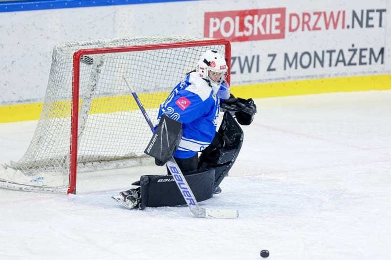 Ice Hockey. Tauron Liga. Kojotki Naprzod Janow - Stoczniowiec Gdansk. 24.02.2024