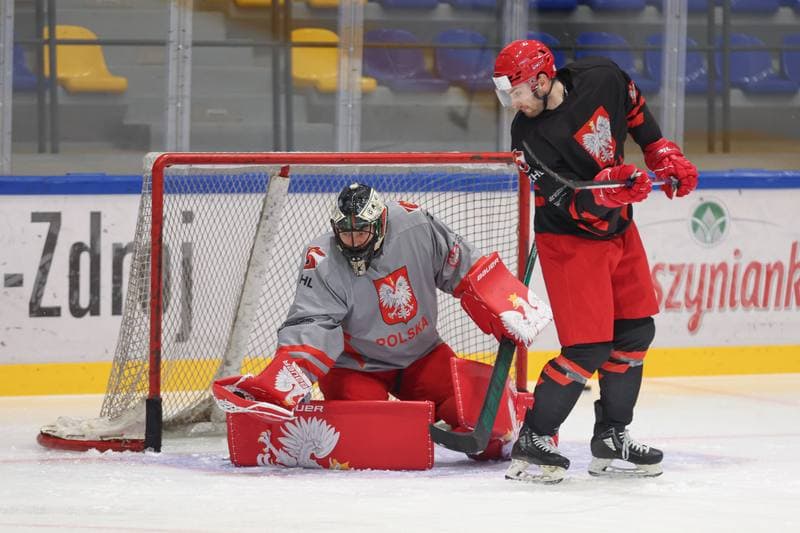 Ice Hockey. Poland national team. Training. 11.04.2024