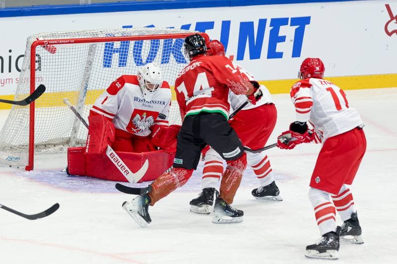 Ice Hockey. Friendly Match. Poland - Hungary. 13.04.2024