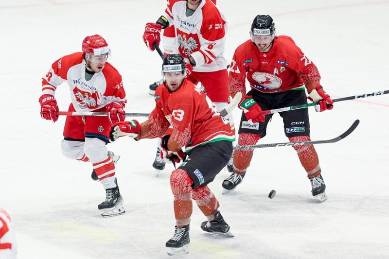 Ice Hockey. Friendly Match. Poland - Hungary. 13.04.2024