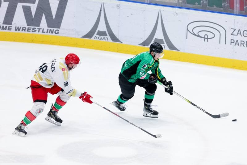 Ice Hockey. Tauron Hokej Liga. Zaglebie Sosnowiec - JKH GKS Jastrzebie. 05.01.2024