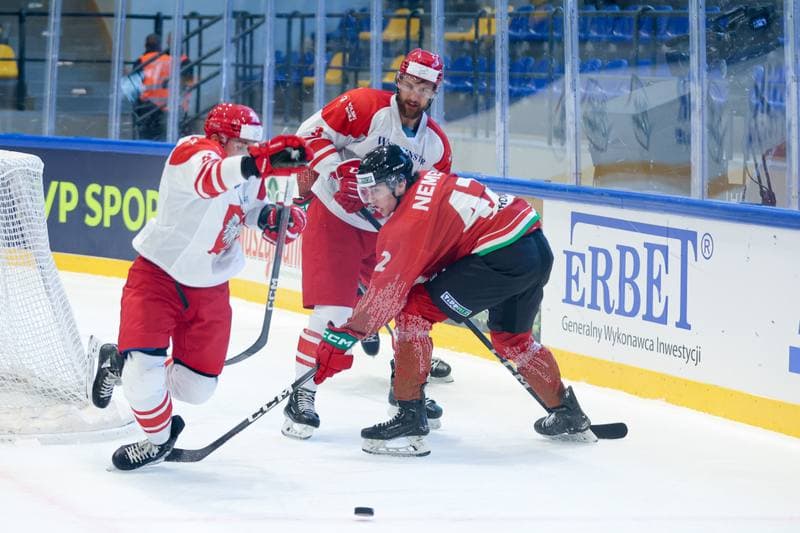 Ice Hockey. Friendly Match. Poland - Hungary. 13.04.2024