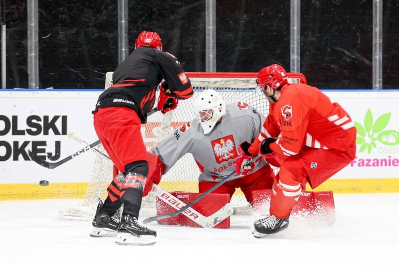 Ice Hockey. Poland national team. Training. 16.04.2024
