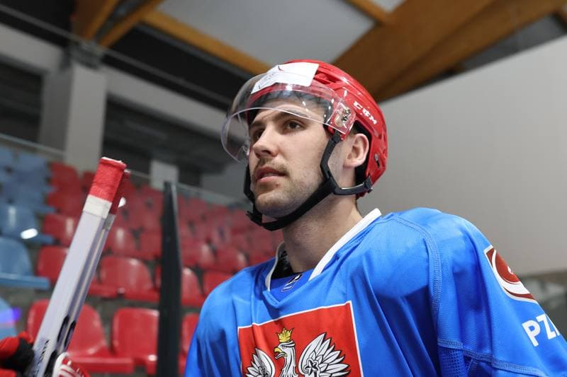 Ice Hockey. Poland national team. Training. 17.04.2024