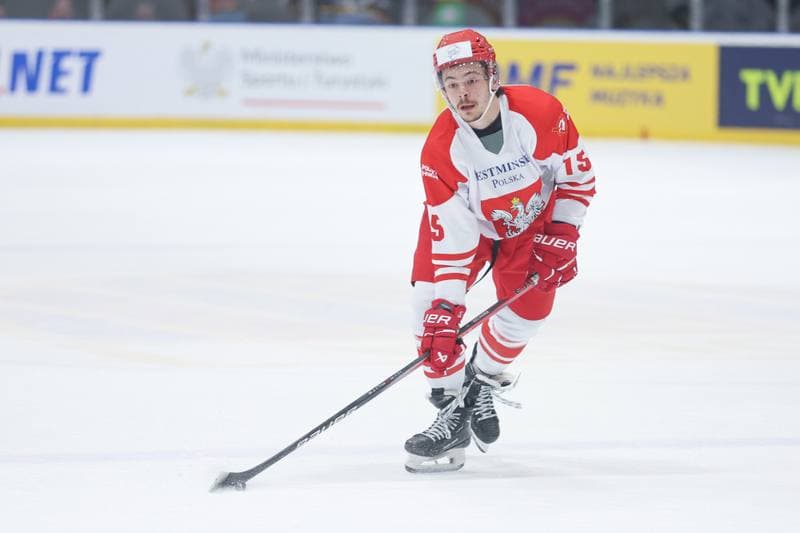 Ice Hockey. Friendly Match. Poland - Slovenia. 18.04.2024