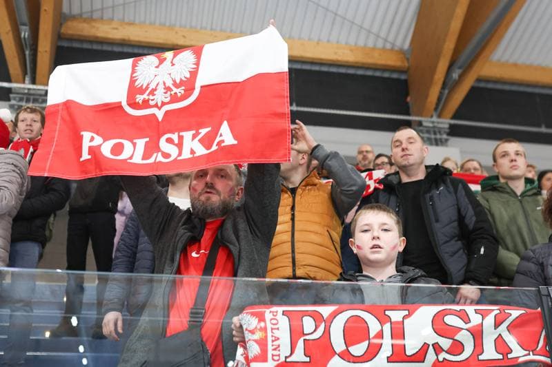 Ice Hockey. Friendly Match. Poland - Slovenia. 19.04.2024