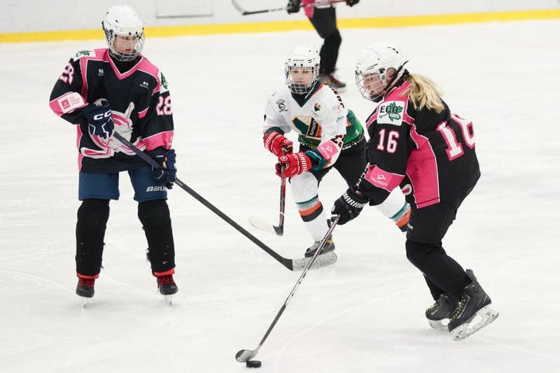 Ice Hockey. Tauron Liga Hokeja Kobiet. Kojotki Naprzod Janow - Kozice Poznan. 20.01.2024
